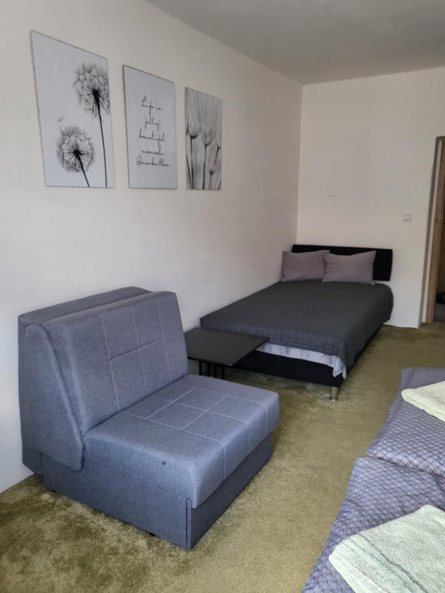 Apartman Dany Hanusovice Bagian luar foto